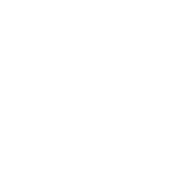 181 Travel